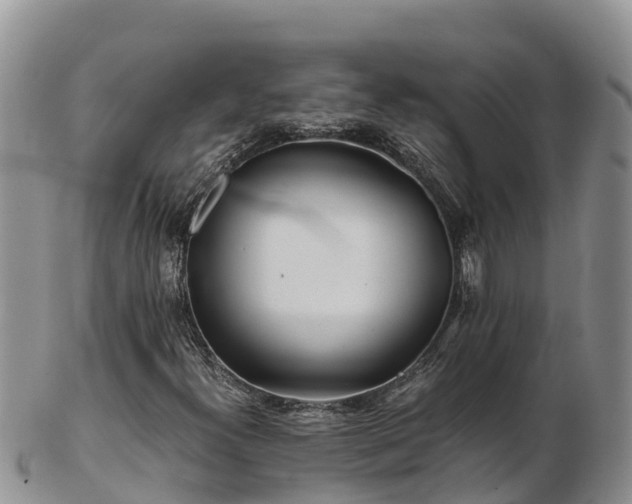 X0000103311300200809051536