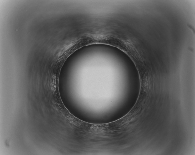 X0000103311301200809051536