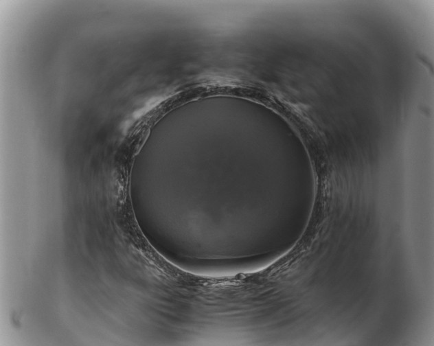 X0000103311303200809051536