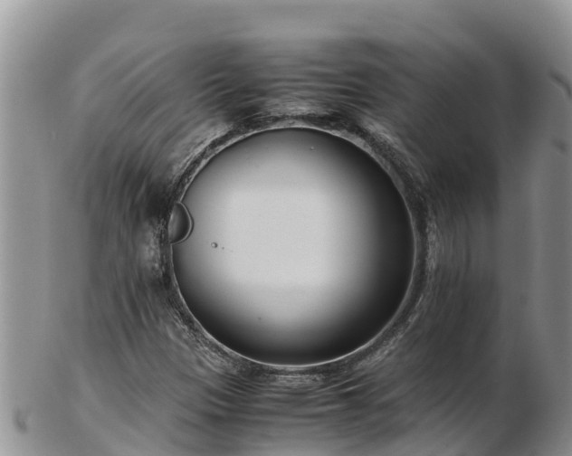 X0000103311305200809051536
