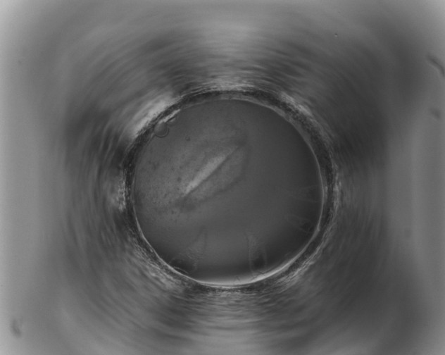 X0000103311306200809051536