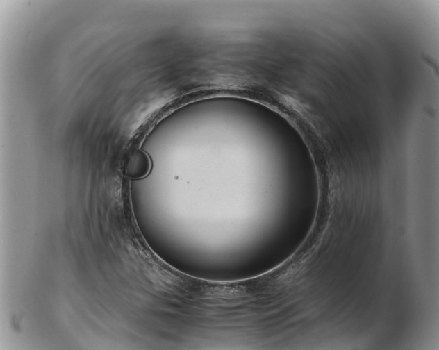 X0000103311307200809051536