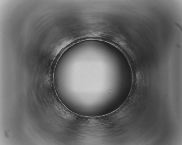 X0000103311308200809051536