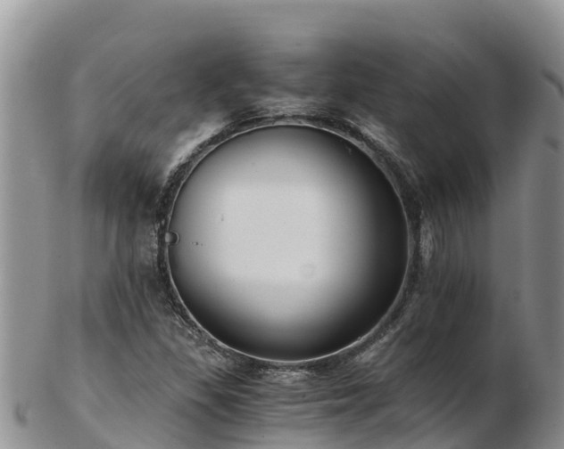 X0000103311309200809051536