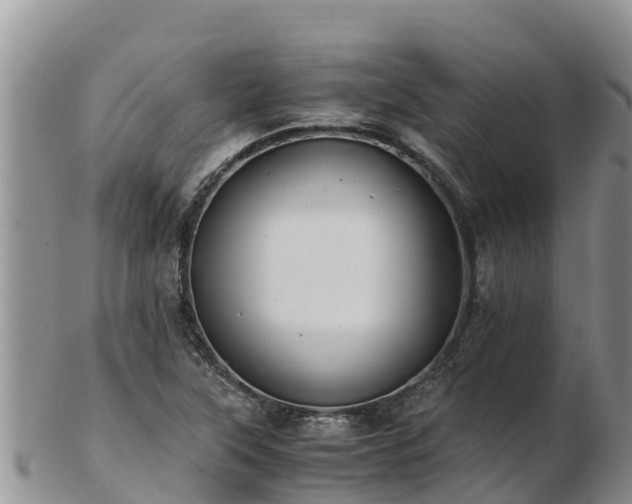 X0000103311315200809051536