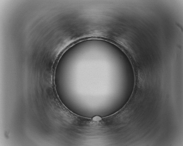 X0000103311316200809051536