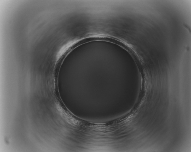 X0000103311319200809051536