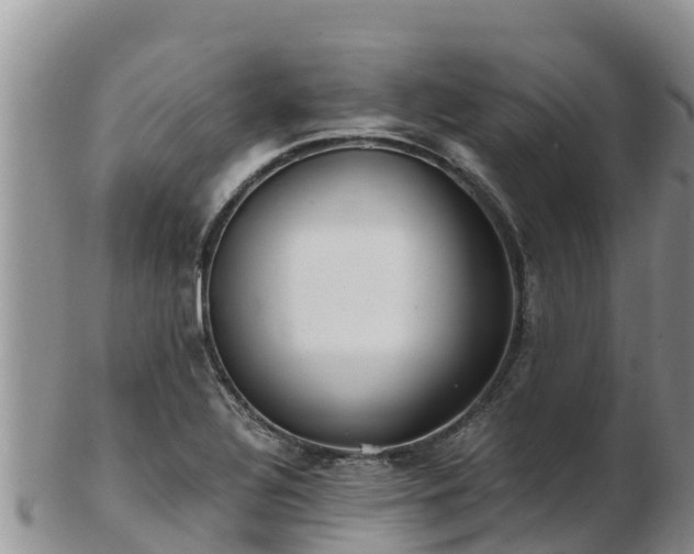 X0000103311320200809051536