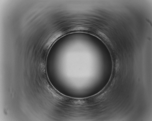 X0000103311321200809051536