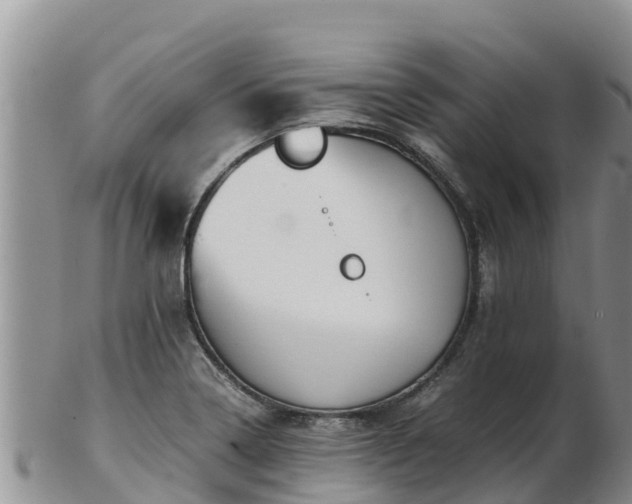 X0000103311322200809051536