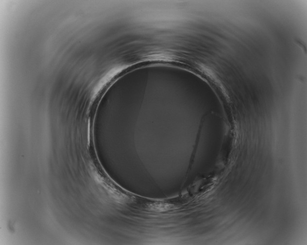 X0000103311323200809051536