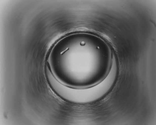 X0000103311326200809051536