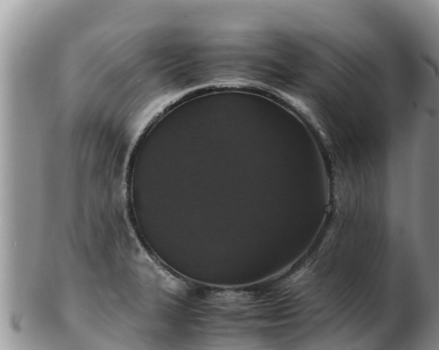 X0000103311327200809051536