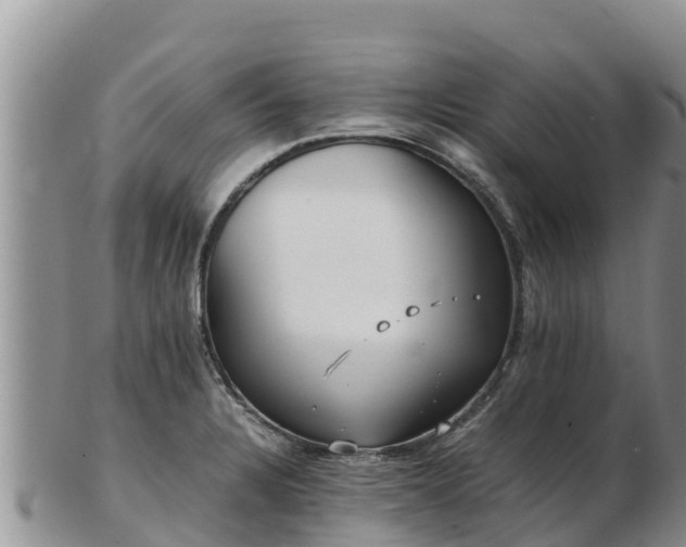 X0000103311328200809051536