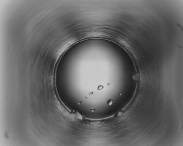 X0000103311330200809051536