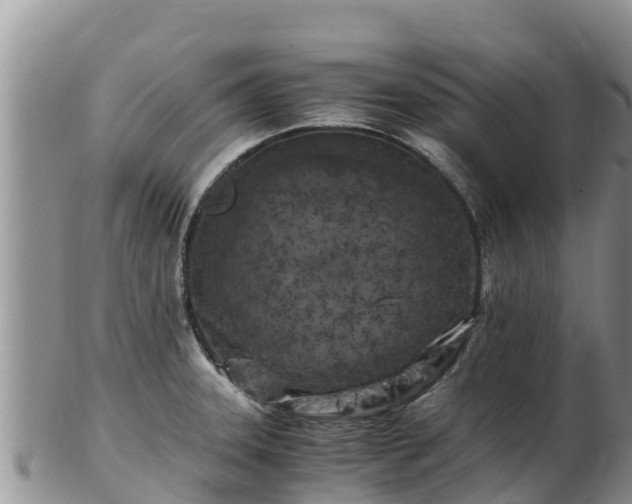 X0000103311331200809051536