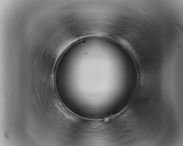 X0000103311332200809051536