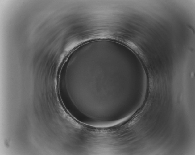 X0000103311334200809051536