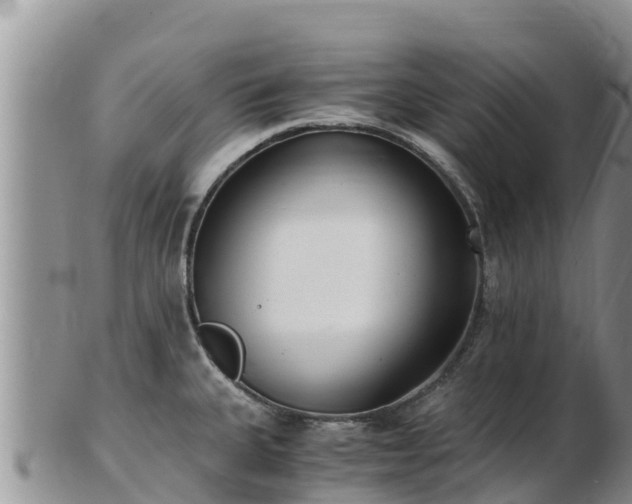X0000103311335200809051536