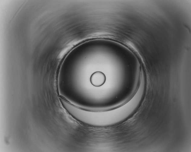 X0000103311336200809051536