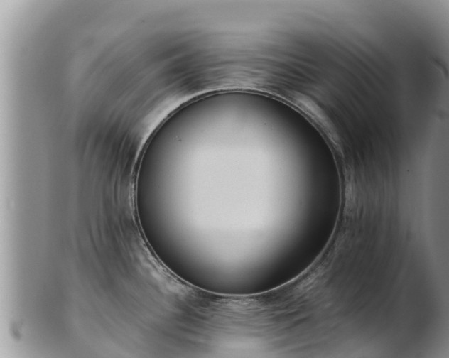 X0000103311340200809051536