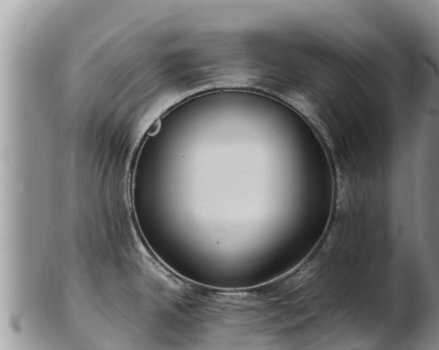 X0000103311342200809051536