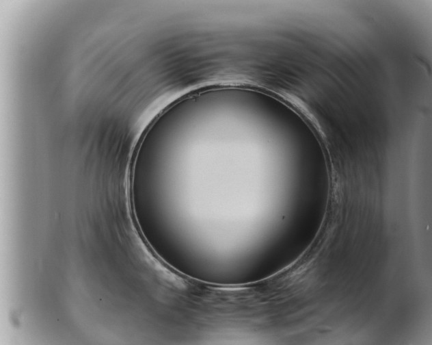 X0000103311343200809051536