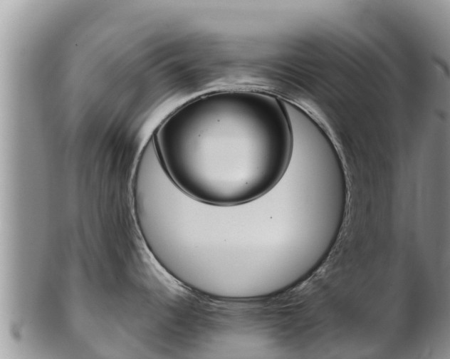 X0000103311344200809051536