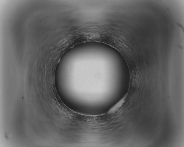 X0000103311345200809051536