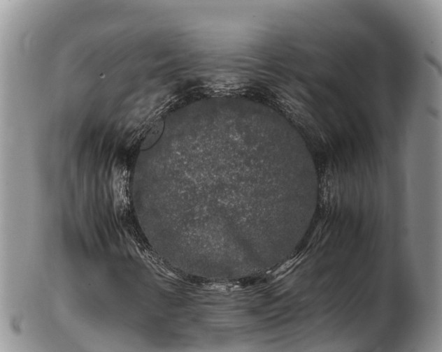 X0000103311346200809051536