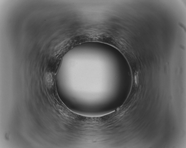 X0000103311347200809051536