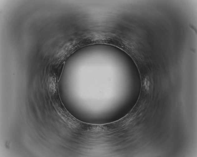 X0000103311348200809051536