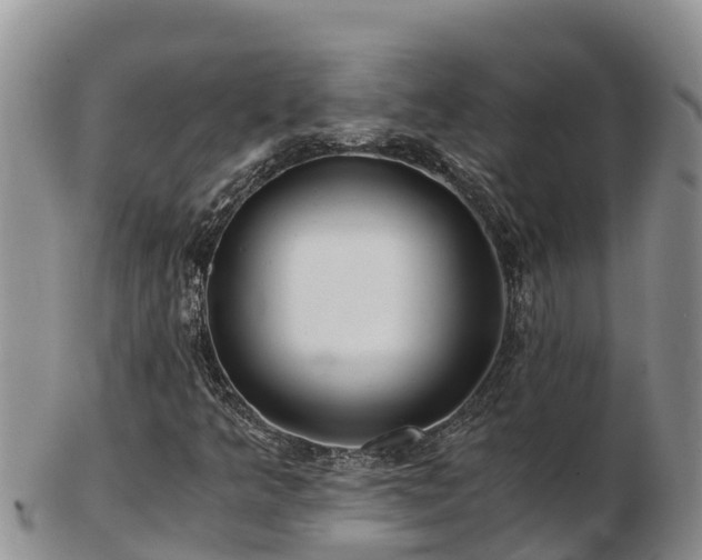 X0000103311349200809051536
