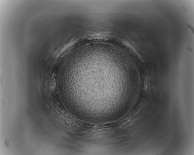 X0000103311350200809051536