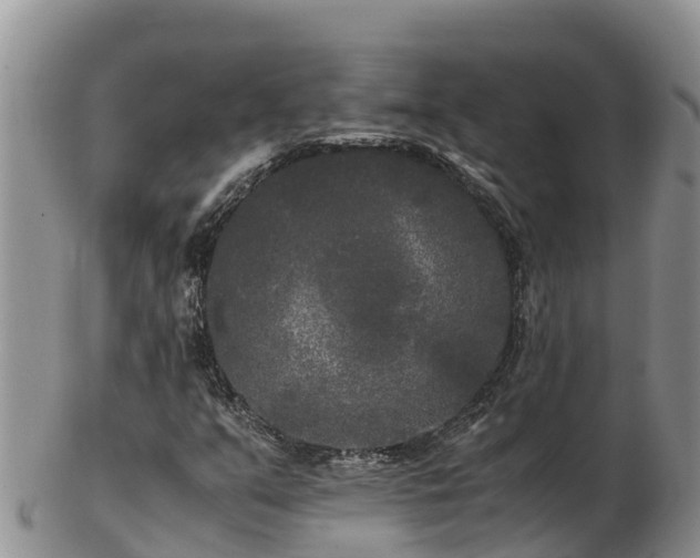 X0000103311351200809051536