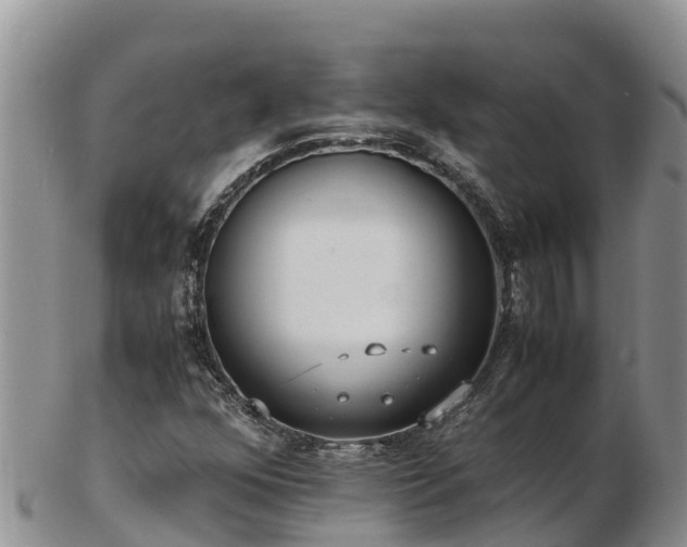X0000103311352200809051536