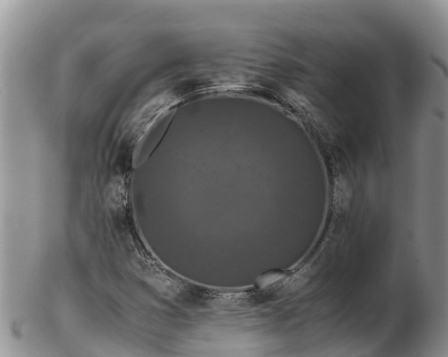 X0000103311353200809051535