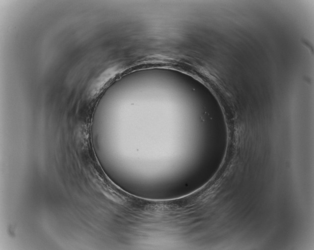 X0000103311355200809051535