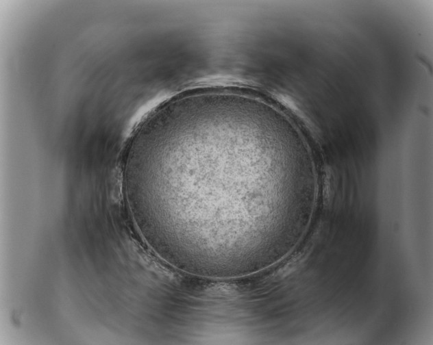 X0000103311358200809051535