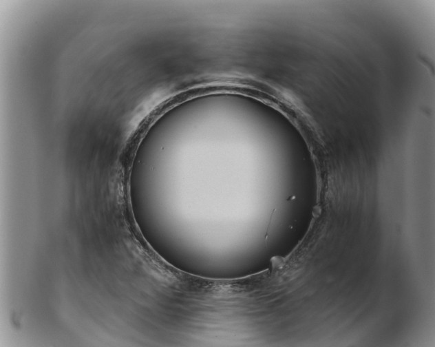 X0000103311360200809051535