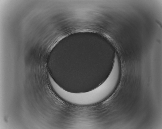 X0000103311361200809051535