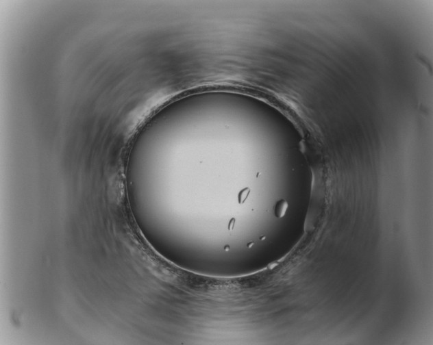 X0000103311363200809051535