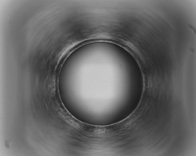 X0000103311364200809051535