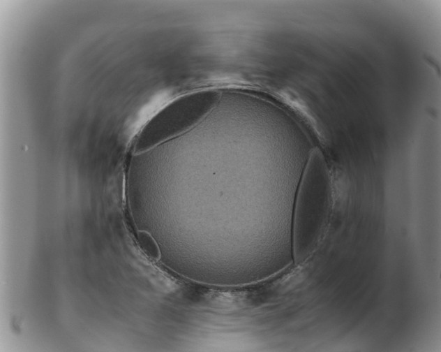 X0000103311365200809051535