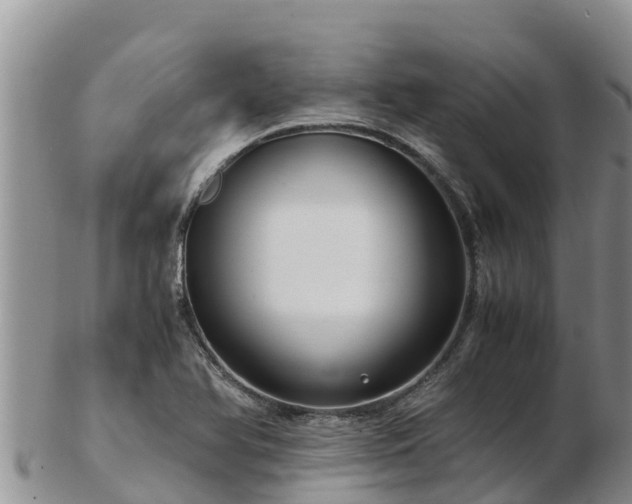 X0000103311366200809051535