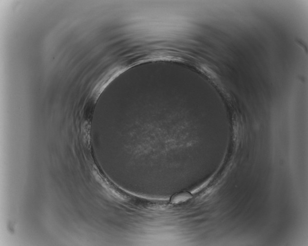 X0000103311369200809051535