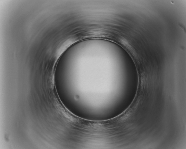 X0000103311370200809051535