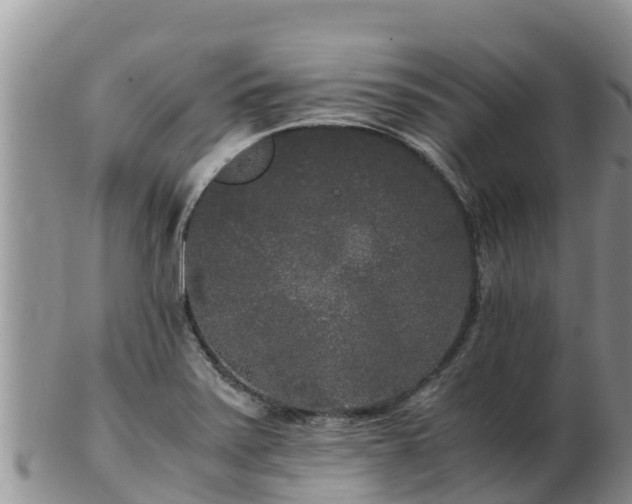 X0000103311371200809051535