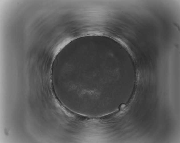 X0000103311373200809051535