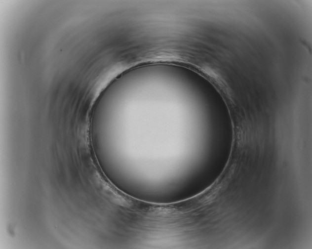 X0000103311374200809051535